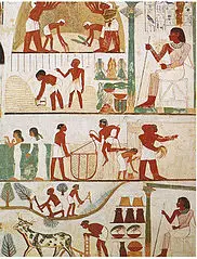 History of Ancient Egyptian Children