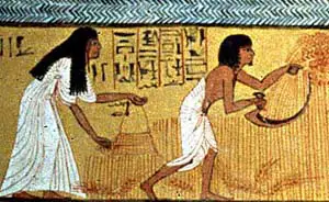 History of Egyptian Farming