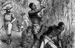 Slavery and Abolitionism