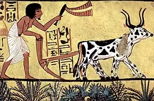 History of Ancient Egyptian Farmers